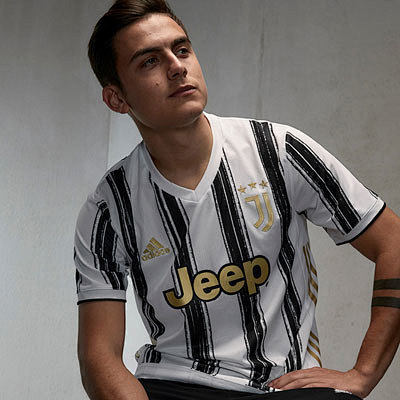 的职业生涯 的职业生涯